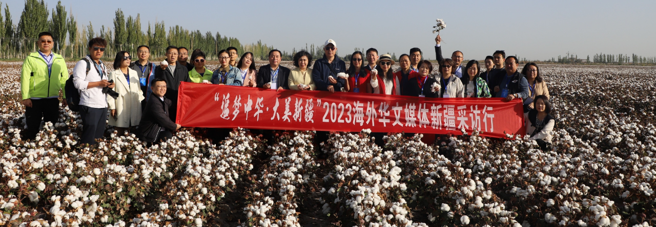 南疆采访行：海外华文媒体探寻新疆棉花采收